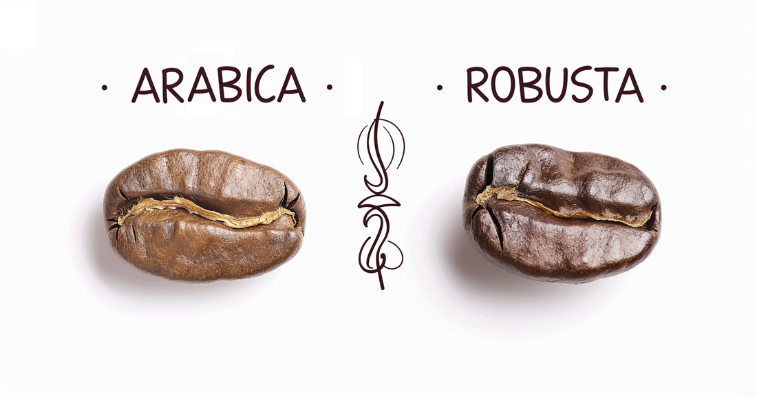 Arabica vs. Robusta: Which Coffee Bean is Better? | Syzygy Coffee