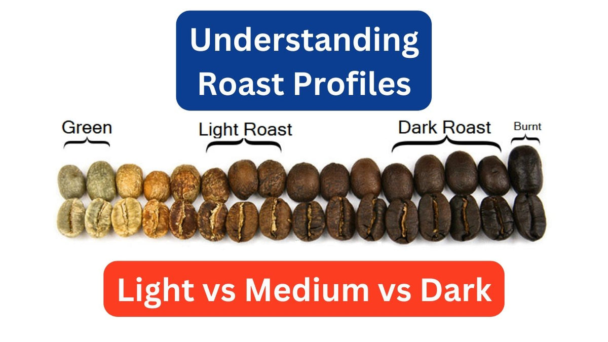 COFFEE: Light, Medium, Dark Roast - What's The Difference?