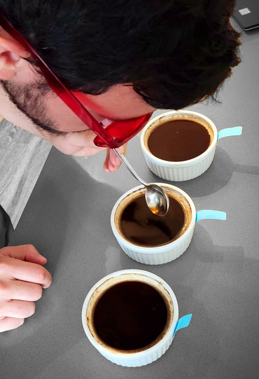 Cupping for Answers - Syzygy Coffee - Specialty Coffee Roasters