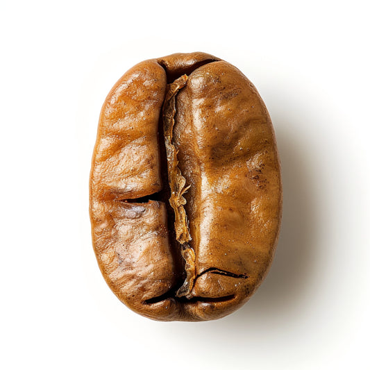What Makes Coffee "Specialty Coffee", Anyways? | Syzygy Coffee
