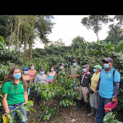 The Perfect Brew: Discovering La Rochela's Specialty Coffee from Colombia