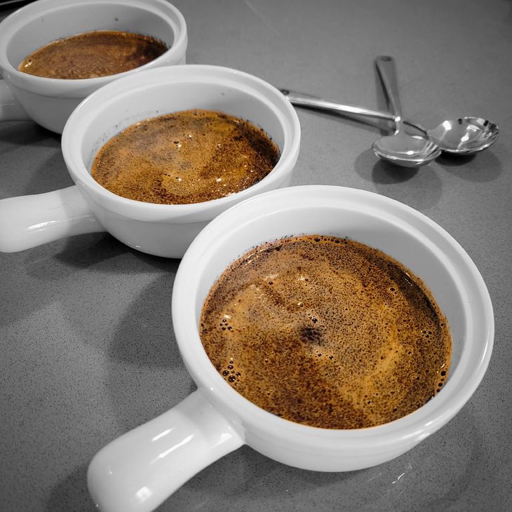 In the image there are 3 white ramekins with coffee grounds that have been sitting in warm water. This process is part of a process called cupping.