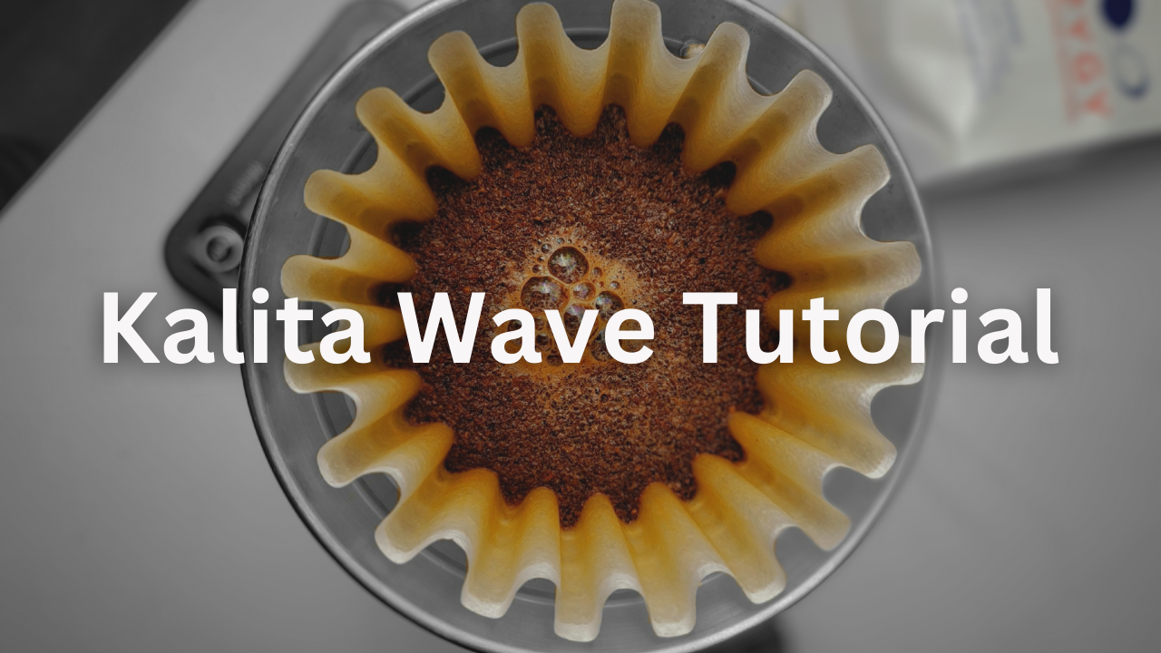 Load video: Video of the Kalita Wave Tutorial