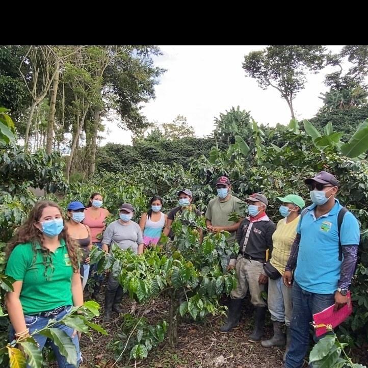 Colombian Coffee | Gesha (Geisha) | Natural
