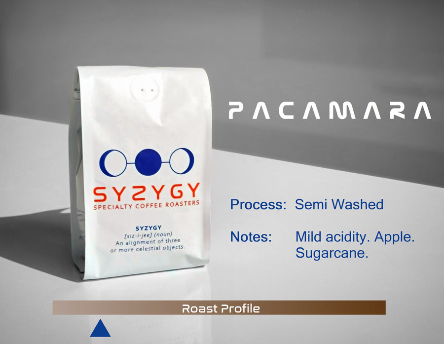 Colombian Coffee | Pacamara | Natural