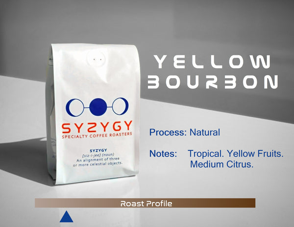 Colombian Coffee | Yellow Bourbon | Natural