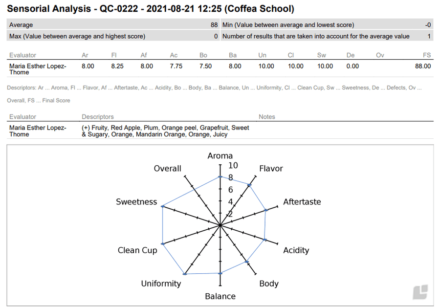 Ethiopian Coffee | Banko Gotiti | Natural Single Origin